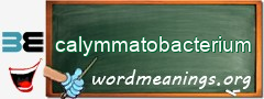 WordMeaning blackboard for calymmatobacterium